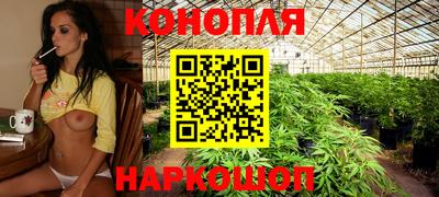 гашиш Малгобек