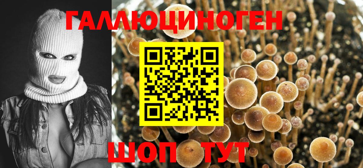 Псилоцибиновые грибы Cubensis Ишим