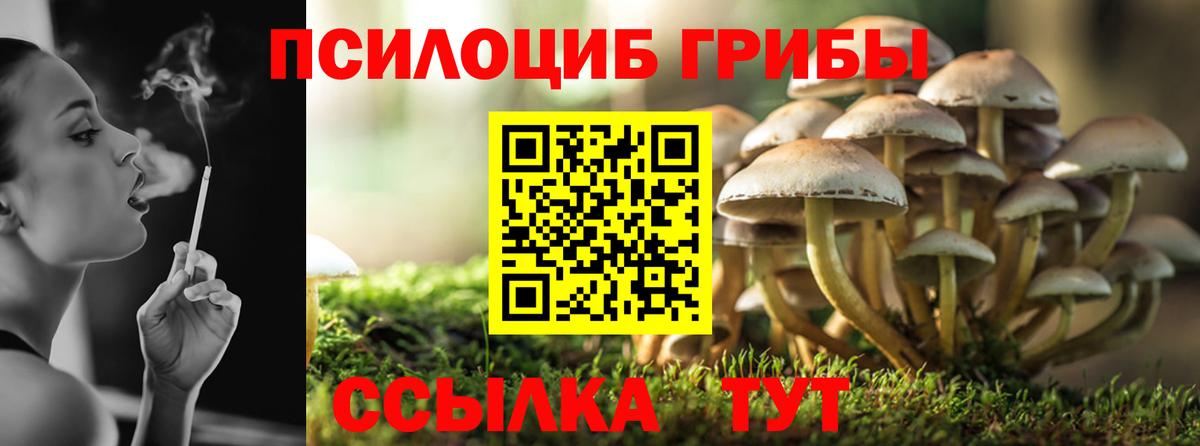 Галлюциногенные грибы Psilocybine cubensis  Вход с VPN  Псилоцибиновые грибы Psilocybine cubensis  Ишим 